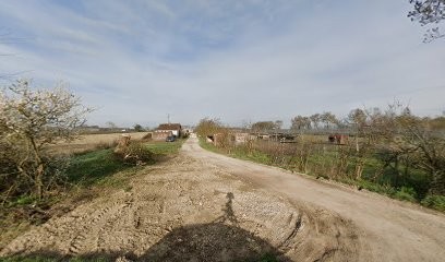 Le domaine du bois rosier, Eleveur de Chiens à Saint-Jean-de-Liversay