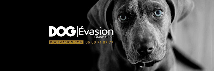 Dog Evasion, Dresseur De Chiens à Bessan