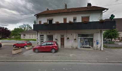 ANZO EDUC - Éducation canine, Dresseur de Chiens à Roulans