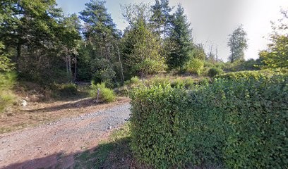 Dog Educ Ecole, Dresseur de Chiens à Verosvres