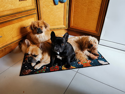 La Meute De Ker Picrom, Éleveur De Chiens à Plouharnel