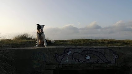Domaine de Mojidy, Eleveur de Chiens à Kergloff