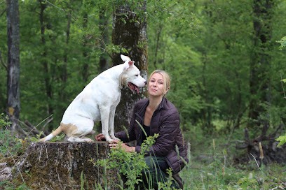 Canifeeling78, Dresseur de Chiens à Lévis-Saint-Nom