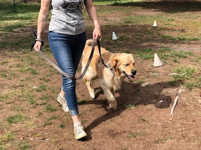 Dog’Docile, Dresseur de Chiens à Salles