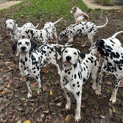 Animal Passion, Eleveur de Chiens à Saône