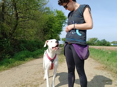 Cynolution - éducation, comportement et sports canins Chateaulin - Brest - Quimper, Dresseur de Chiens à Pont-de-Buis-lès-Quimerch