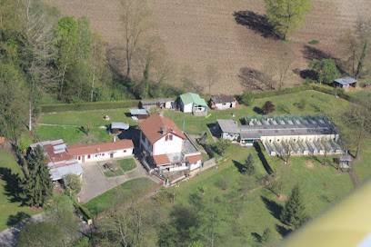 Pension canine d'Aoste, Pension pour Chiens à Aoste