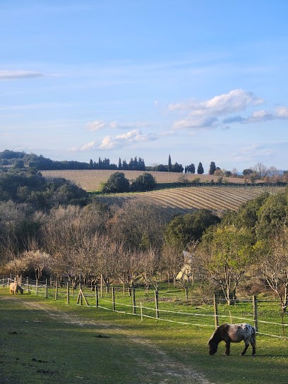 Domaine des Cigales, Eleveur de Chiens à Alairac