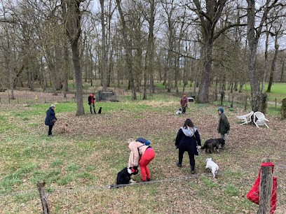 Cercle Cynophile Romorantinais, Dresseur de Chiens à Romorantin-Lanthenay