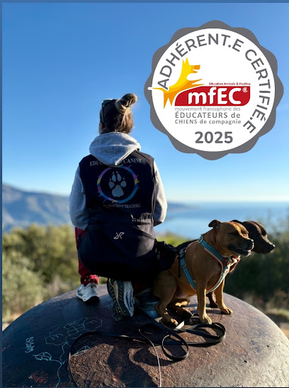 Dog Pawsitiv'training Éducation Canine Bienveillante Méthode Positive Certifiée Mfec Dresseur De Chiens à Roquebrune-Cap-Martin