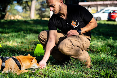 Educkn1, Dresseur De Chiens à Mornas