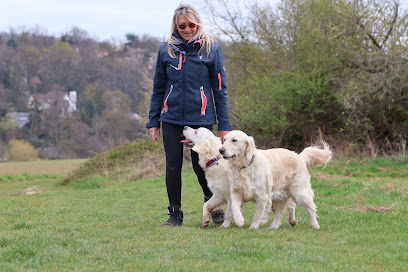 Ouaf Domaine, Dresseur De Chiens à la Ville-du-Bois