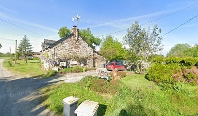 Du Royaume De Ma Galatée, Eleveur de Chiens à Plélan-le-Grand