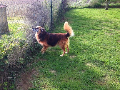 Niches Canines The Round Table, Pension pour Chiens à Abeilhan