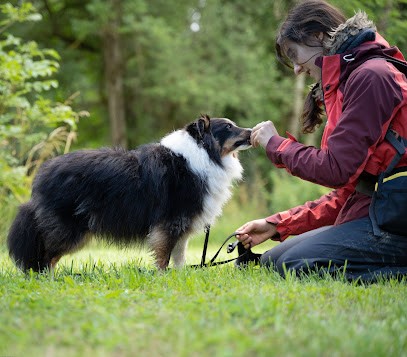 Petites Pattes - Éducateur Canin Comportementaliste - Pays De Gex, Dresseur de Chiens à Saint-Jean-de-Gonville