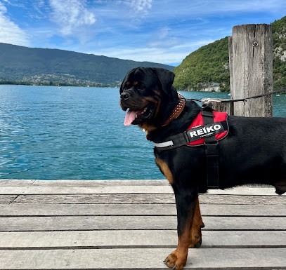 Centre Cynophile De Ruy, Dresseur de Chiens à Ruy-Montceau