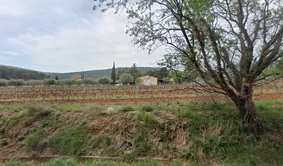 Centre Canin De Cuers, Pension pour Chiens à Cuers