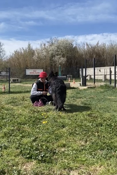 Carla Conscience Canine, Dresseur de Chiens à Saint-Paul-Trois-Châteaux