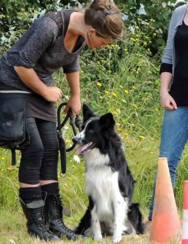 Au poil dans mes pattes !, Dresseur de Chiens à Rennes