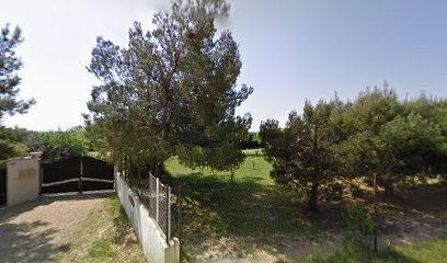 Elevage canin Des Gladiateurs de Zeus - Chien de race Bouledogue Américain, Eleveur de Chiens à Beaucaire