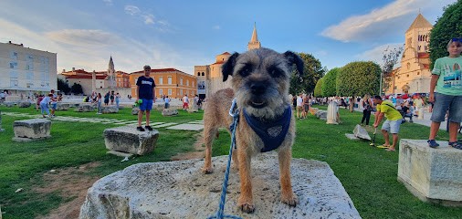 DER LANDERLAND, Eleveur de Chiens à Perche en Nocé