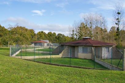 La Georgettière - Pension canine et féline, Pension pour Chiens à Villiers-au-Bouin
