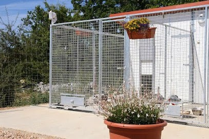 Pension - Toilettage Canin, Pension pour Chiens à Saint-Pierre-de-la-Fage