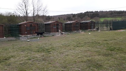 La pension de l'armandon, Pension pour Chiens à Paulhaguet