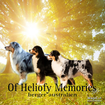 Of Heliofy Memories, Éleveur De Chiens à Hagetaubin