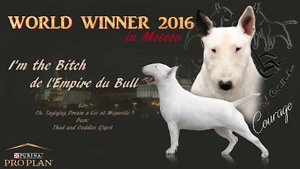 De L Empire Du Bull, Eleveur de Chiens à Rombas