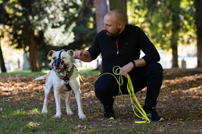 Frangy Educateur Canin, Dresseur De Chiens à Frangy