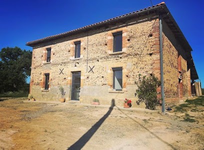 La Bande à Bella, Pension pour Chiens au Fousseret