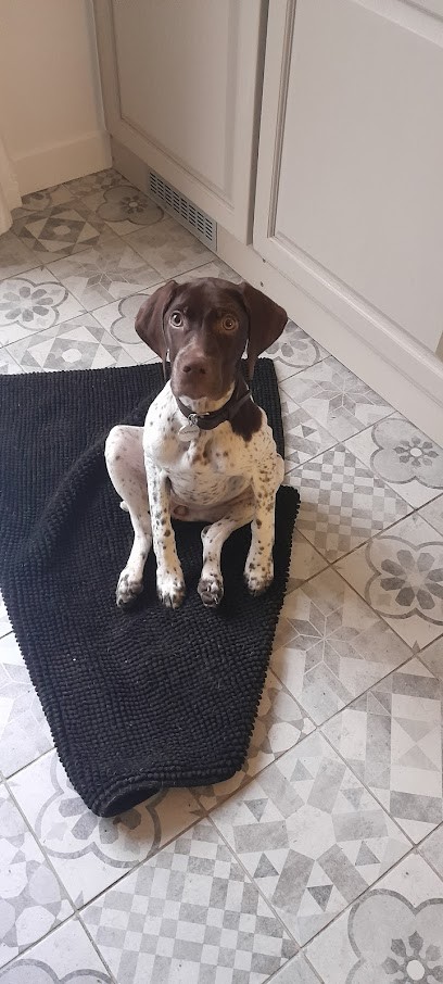 Canidelph éducatrice Comportementaliste Canine Rouen, Dresseur de Chiens à Saint-Aubin-Épinay