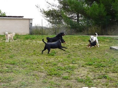 Pension Canine Et Féline Le Ravin Des Arcs, Pension pour Chiens à Saint-Vincent-de-Barbeyrargues