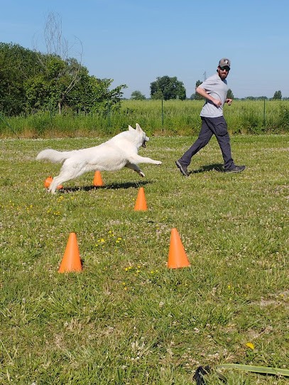Remy Sense - Dog & Me - Educateur Canin, Dresseur de Chiens à Marquette-lez-Lille