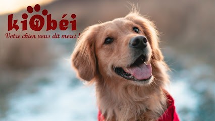 Kiobéi Educateur Canin, Dresseur de Chiens à Poissy