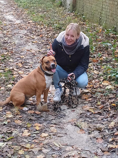 Coeur Sur La Patte : Éducateur, Comportementaliste Canin Et Petsitter Dresseur De Chiens à Ailly-sur-Noye