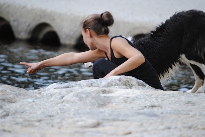 Pension Life Is Beautiful, Dresseur de Chiens à Saint-Jean-de-Muzols