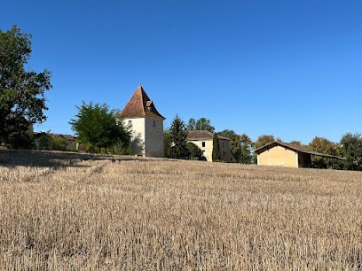 Pension canine et feline Les Jardins de Becky, Pension pour Chiens à Jegun