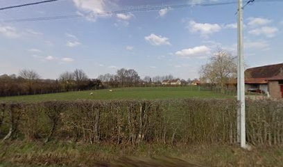 Elevage du palais des câlins, Eleveur de Chiens à Montagny-près-Louhans