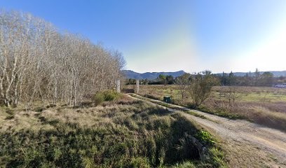 Elevage de Majestade, Eleveur de Chiens à Trets
