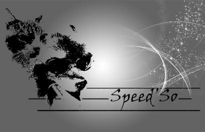 Speed'So - Pension Familiale Pour Chiens - Pet-sitting, Pension pour Chiens à Vaudancourt