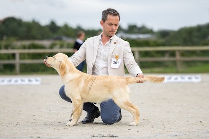 Domaines Des Sources Dorées, Eleveur de Chiens à Valorbiquet