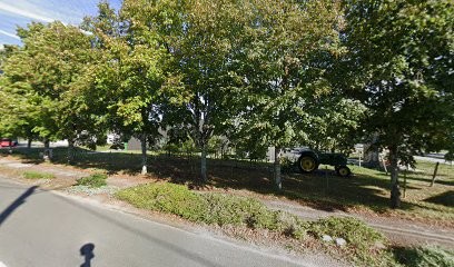 Elevage Chat Bengal de Johnson's Cats, Eleveur de Chiens à La Ferté-Saint-Aubin