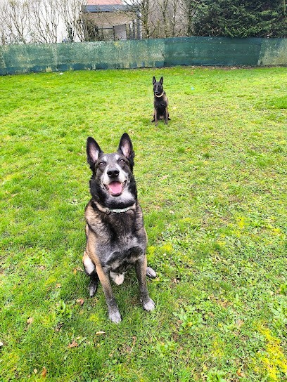 Isa'pets Services éducateur / Comportementaliste Canin, Dresseur de Chiens à Plancher-les-Mines