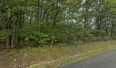 Education Canine - L'Orée Du Loup, Dresseur de Chiens à Ménestreau-en-Villette