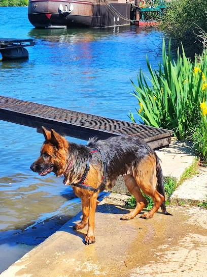 Julie Coach’eure Animalier - éducateur Canin, Dresseur de Chiens à Vernon