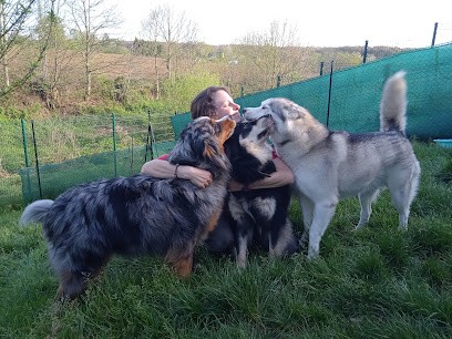 Pension Art'nimale Landean, Pension pour Chiens à Landéan