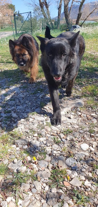 Orobi Centre D'éducation Et Rééducation Canine, Dresseur de Chiens à Trets