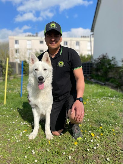INI'S DOG - Éducateur & Comportementaliste Canin, Dresseur de Chiens à Louviers
